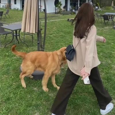 巾帼拳王